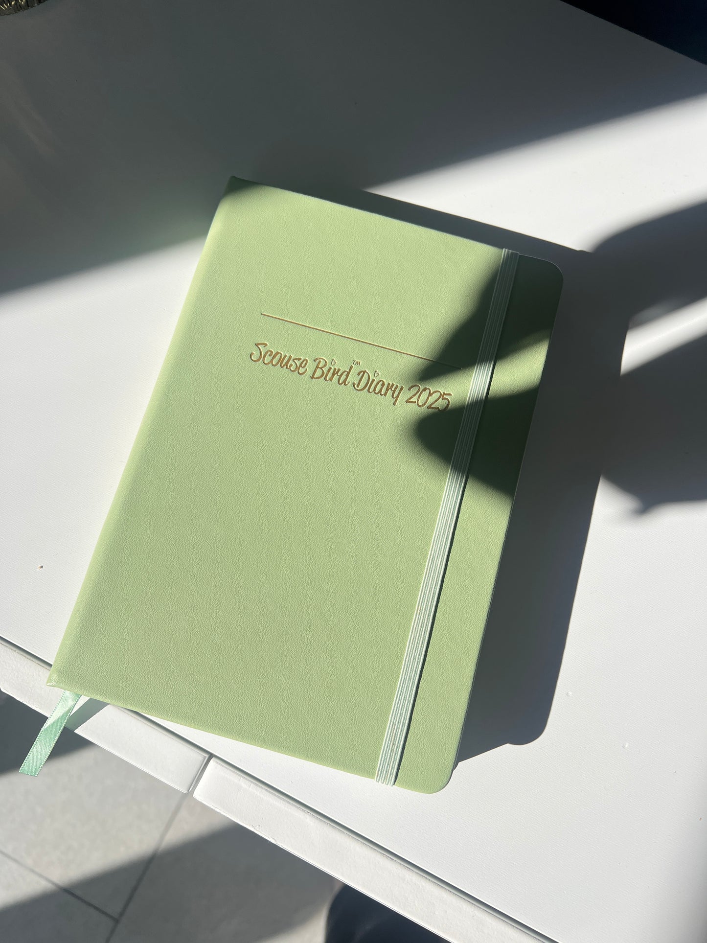 From Books Read to Bin Day: The Scouse Bird 2025 Diary Has It All for the Stationery Lover 📚🗑️