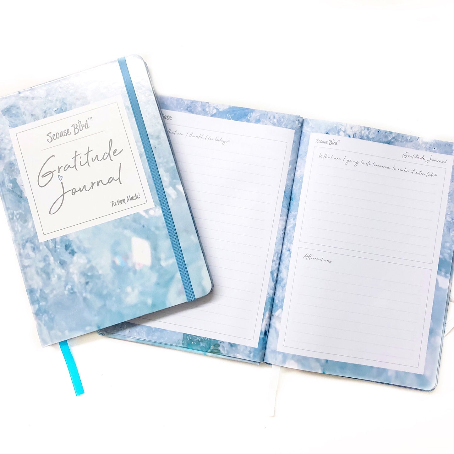 Gratitude & Intention Journal - Diary - The Scouse Bird Shop