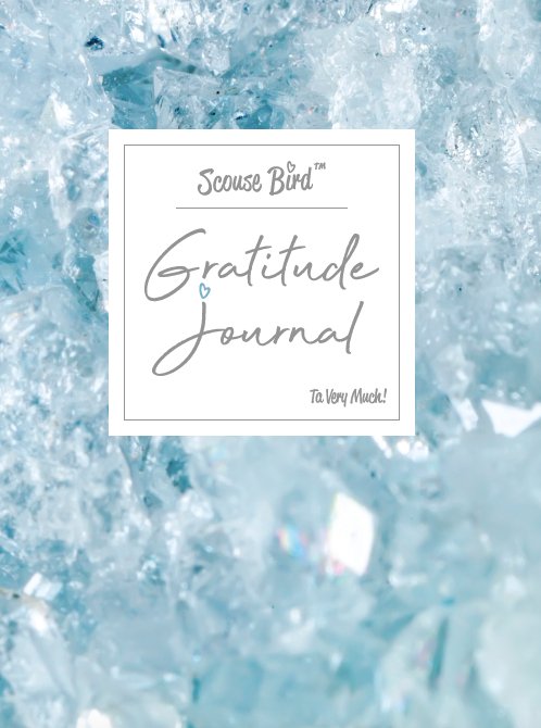 Gratitude & Intention Journal - Diary - The Scouse Bird Shop