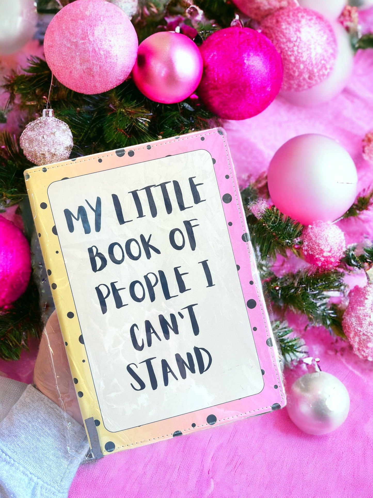 People I Can&#39;t Stand - Notebook