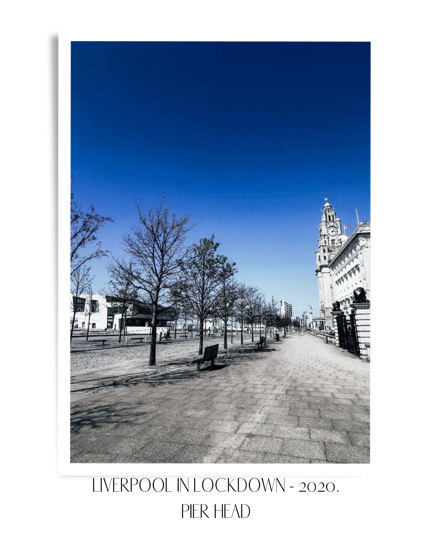 Liverpool In Lockdown Print - Pier Head - Print - The Scouse Bird Shop